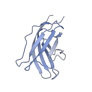 20874_6v8i_BM_v1-0
Composite atomic model of the Staphylococcus aureus phage 80alpha baseplate