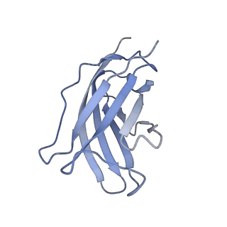 20874_6v8i_BM_v1-1
Composite atomic model of the Staphylococcus aureus phage 80alpha baseplate