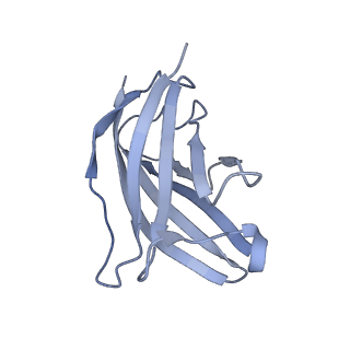 20874_6v8i_BN_v1-1
Composite atomic model of the Staphylococcus aureus phage 80alpha baseplate