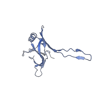 20874_6v8i_CA_v1-0
Composite atomic model of the Staphylococcus aureus phage 80alpha baseplate
