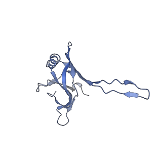 20874_6v8i_CA_v1-1
Composite atomic model of the Staphylococcus aureus phage 80alpha baseplate