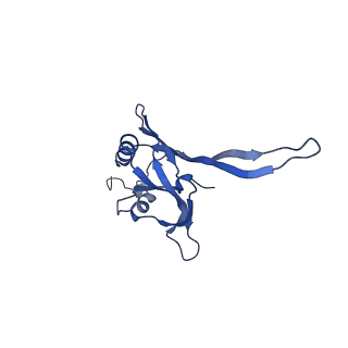 20874_6v8i_CB_v1-0
Composite atomic model of the Staphylococcus aureus phage 80alpha baseplate