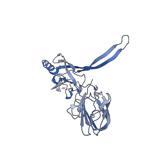 20874_6v8i_CC_v1-1
Composite atomic model of the Staphylococcus aureus phage 80alpha baseplate