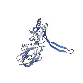 20874_6v8i_CD_v1-0
Composite atomic model of the Staphylococcus aureus phage 80alpha baseplate
