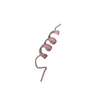 20874_6v8i_CF_v1-1
Composite atomic model of the Staphylococcus aureus phage 80alpha baseplate