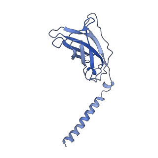 20874_6v8i_CJ_v1-0
Composite atomic model of the Staphylococcus aureus phage 80alpha baseplate
