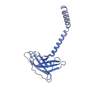 20874_6v8i_DK_v1-1
Composite atomic model of the Staphylococcus aureus phage 80alpha baseplate