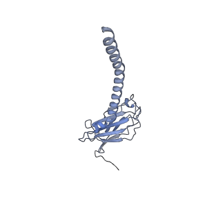 20874_6v8i_DL_v1-1
Composite atomic model of the Staphylococcus aureus phage 80alpha baseplate