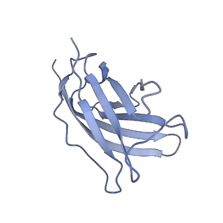 20874_6v8i_DM_v1-0
Composite atomic model of the Staphylococcus aureus phage 80alpha baseplate