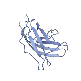 20874_6v8i_DM_v1-1
Composite atomic model of the Staphylococcus aureus phage 80alpha baseplate