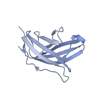 20874_6v8i_DN_v1-0
Composite atomic model of the Staphylococcus aureus phage 80alpha baseplate