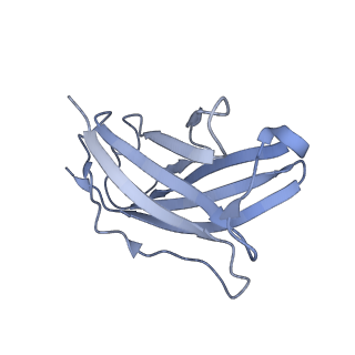 20874_6v8i_DN_v1-1
Composite atomic model of the Staphylococcus aureus phage 80alpha baseplate