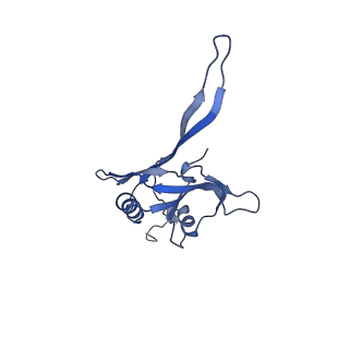 20874_6v8i_EB_v1-1
Composite atomic model of the Staphylococcus aureus phage 80alpha baseplate