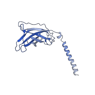 20874_6v8i_EJ_v1-1
Composite atomic model of the Staphylococcus aureus phage 80alpha baseplate