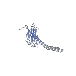 20874_6v8i_EL_v1-0
Composite atomic model of the Staphylococcus aureus phage 80alpha baseplate