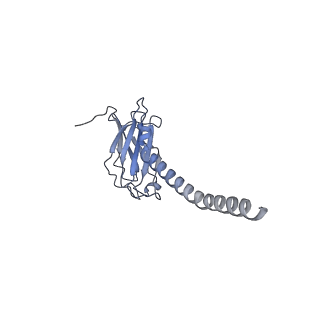 20874_6v8i_EL_v1-1
Composite atomic model of the Staphylococcus aureus phage 80alpha baseplate