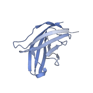 20874_6v8i_EN_v1-1
Composite atomic model of the Staphylococcus aureus phage 80alpha baseplate