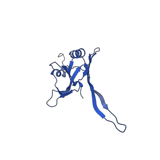 20874_6v8i_FB_v1-0
Composite atomic model of the Staphylococcus aureus phage 80alpha baseplate
