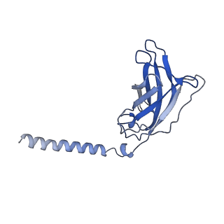 20874_6v8i_FJ_v1-0
Composite atomic model of the Staphylococcus aureus phage 80alpha baseplate
