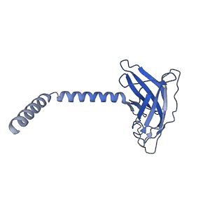 20874_6v8i_FK_v1-1
Composite atomic model of the Staphylococcus aureus phage 80alpha baseplate