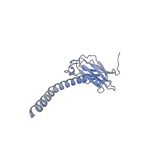 20874_6v8i_FL_v1-1
Composite atomic model of the Staphylococcus aureus phage 80alpha baseplate