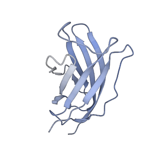 20874_6v8i_FM_v1-0
Composite atomic model of the Staphylococcus aureus phage 80alpha baseplate