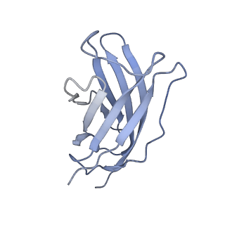 20874_6v8i_FM_v1-1
Composite atomic model of the Staphylococcus aureus phage 80alpha baseplate