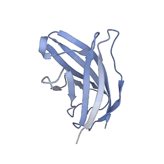 20874_6v8i_FN_v1-0
Composite atomic model of the Staphylococcus aureus phage 80alpha baseplate
