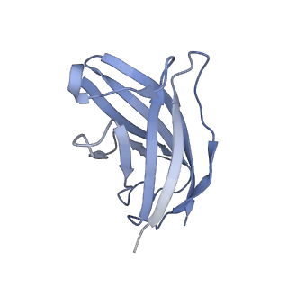 20874_6v8i_FN_v1-1
Composite atomic model of the Staphylococcus aureus phage 80alpha baseplate