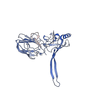 20875_6v8i_AC_v1-0
Composite atomic model of the Staphylococcus aureus phage 80alpha baseplate