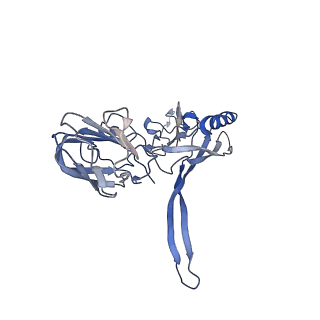 20875_6v8i_AC_v1-1
Composite atomic model of the Staphylococcus aureus phage 80alpha baseplate