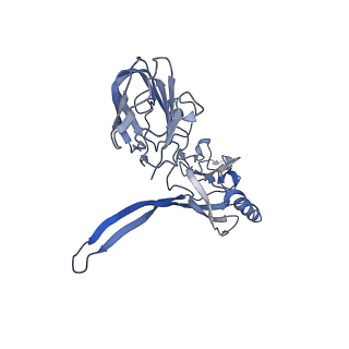 20875_6v8i_AD_v1-1
Composite atomic model of the Staphylococcus aureus phage 80alpha baseplate