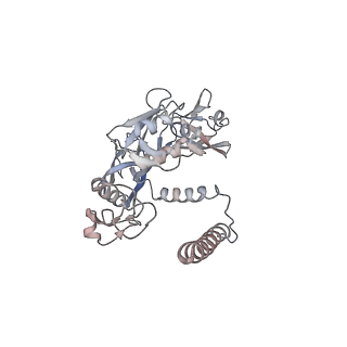 20875_6v8i_AE_v1-1
Composite atomic model of the Staphylococcus aureus phage 80alpha baseplate