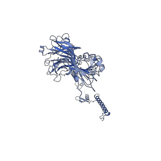 20875_6v8i_AG_v1-0
Composite atomic model of the Staphylococcus aureus phage 80alpha baseplate