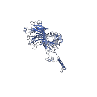 20875_6v8i_AG_v1-1
Composite atomic model of the Staphylococcus aureus phage 80alpha baseplate