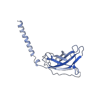 20875_6v8i_AJ_v1-0
Composite atomic model of the Staphylococcus aureus phage 80alpha baseplate