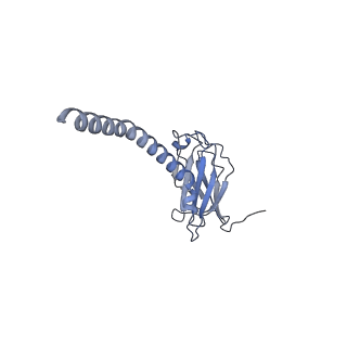 20875_6v8i_AL_v1-0
Composite atomic model of the Staphylococcus aureus phage 80alpha baseplate