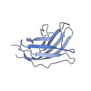 20875_6v8i_AM_v1-1
Composite atomic model of the Staphylococcus aureus phage 80alpha baseplate