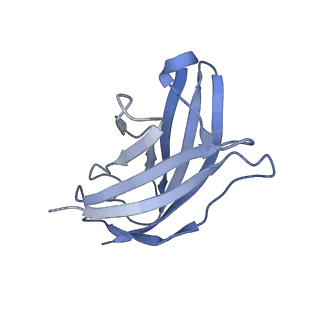 20875_6v8i_AN_v1-1
Composite atomic model of the Staphylococcus aureus phage 80alpha baseplate