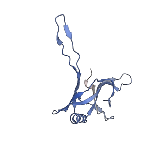 20875_6v8i_BA_v1-0
Composite atomic model of the Staphylococcus aureus phage 80alpha baseplate