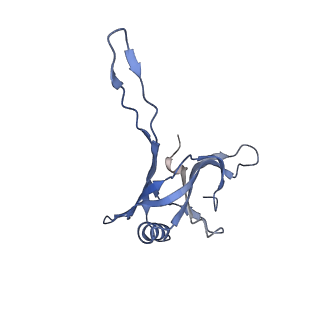 20875_6v8i_BA_v1-1
Composite atomic model of the Staphylococcus aureus phage 80alpha baseplate