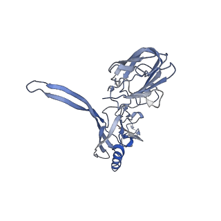 20875_6v8i_BC_v1-1
Composite atomic model of the Staphylococcus aureus phage 80alpha baseplate