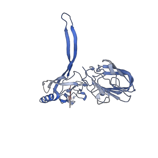 20875_6v8i_BD_v1-0
Composite atomic model of the Staphylococcus aureus phage 80alpha baseplate