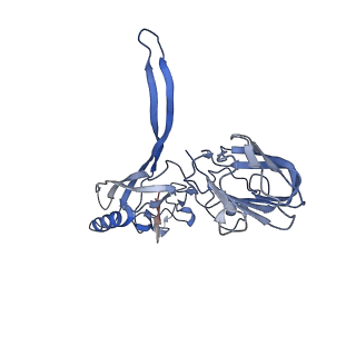 20875_6v8i_BD_v1-1
Composite atomic model of the Staphylococcus aureus phage 80alpha baseplate