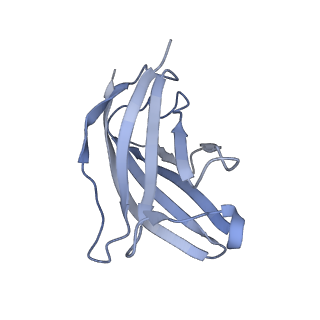20875_6v8i_BN_v1-0
Composite atomic model of the Staphylococcus aureus phage 80alpha baseplate