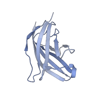 20875_6v8i_BN_v1-1
Composite atomic model of the Staphylococcus aureus phage 80alpha baseplate