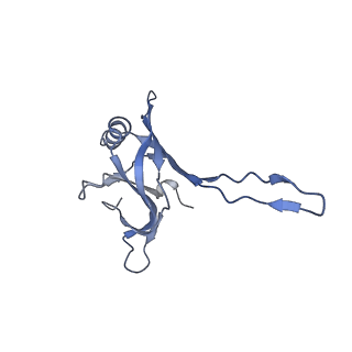 20875_6v8i_CA_v1-0
Composite atomic model of the Staphylococcus aureus phage 80alpha baseplate