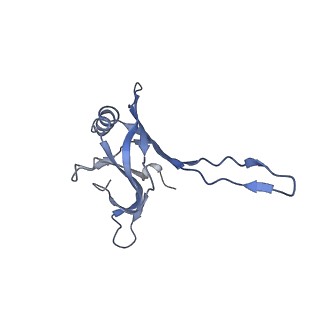 20875_6v8i_CA_v1-1
Composite atomic model of the Staphylococcus aureus phage 80alpha baseplate