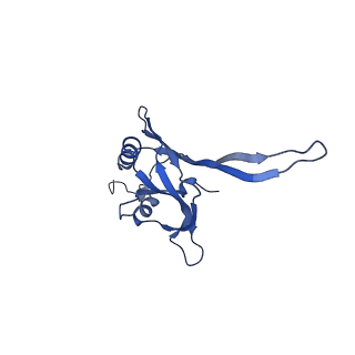 20875_6v8i_CB_v1-0
Composite atomic model of the Staphylococcus aureus phage 80alpha baseplate