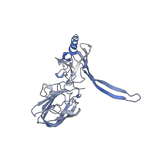 20875_6v8i_CD_v1-1
Composite atomic model of the Staphylococcus aureus phage 80alpha baseplate